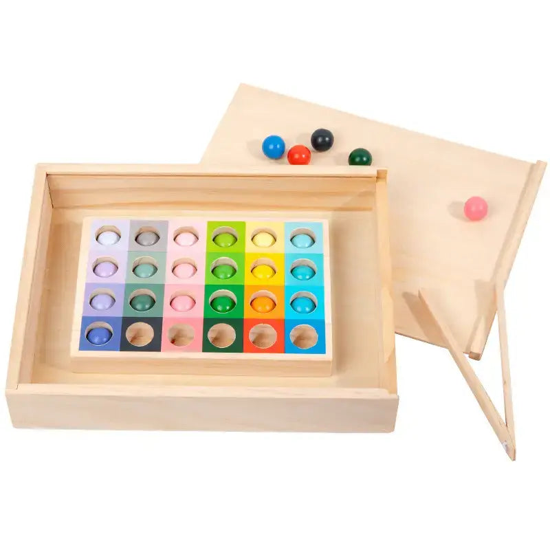 Montessori Color Matching Expert