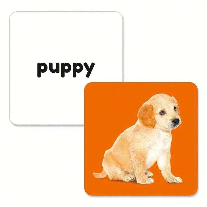 Animal 54 cards