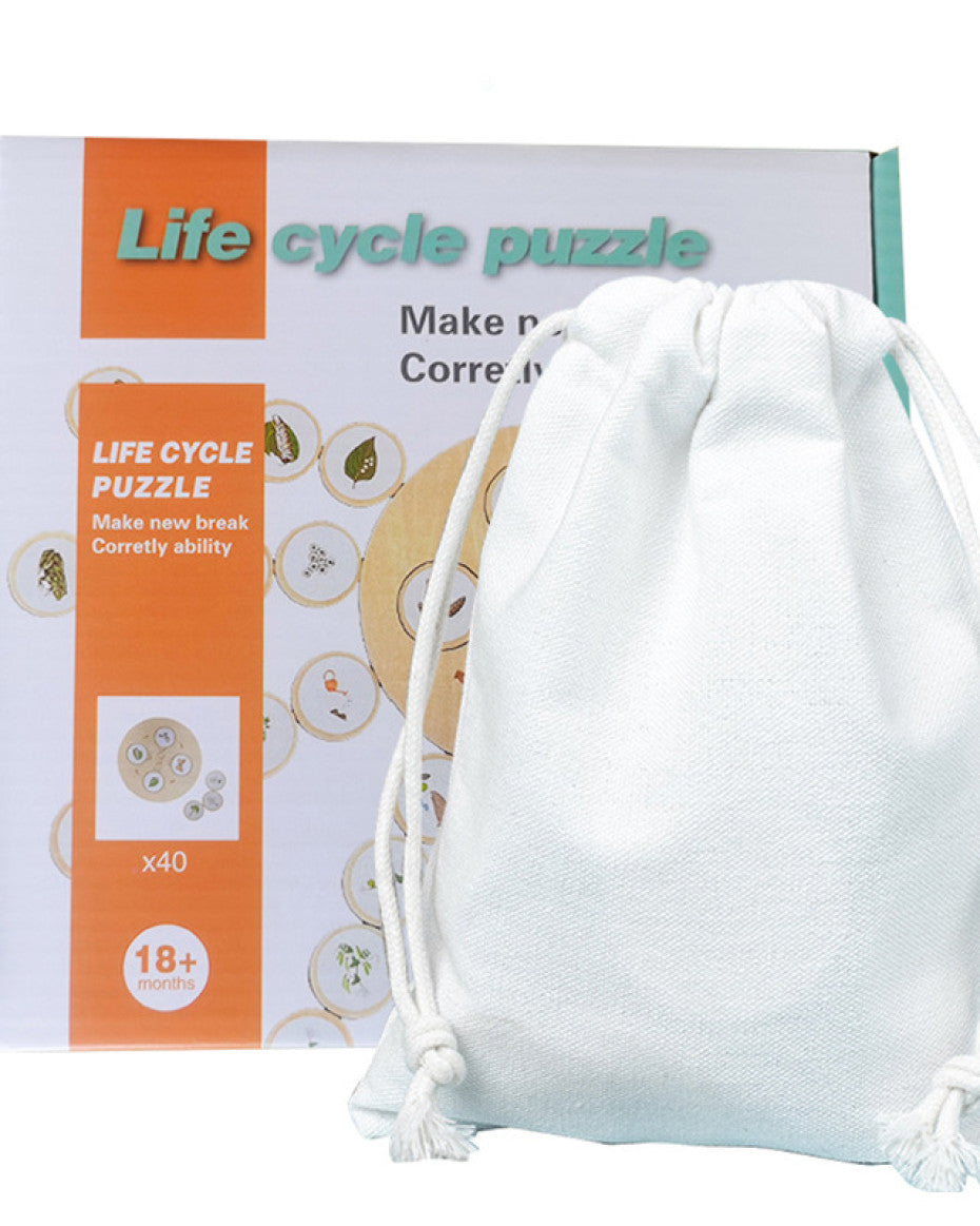 Life Cycle Puzzle