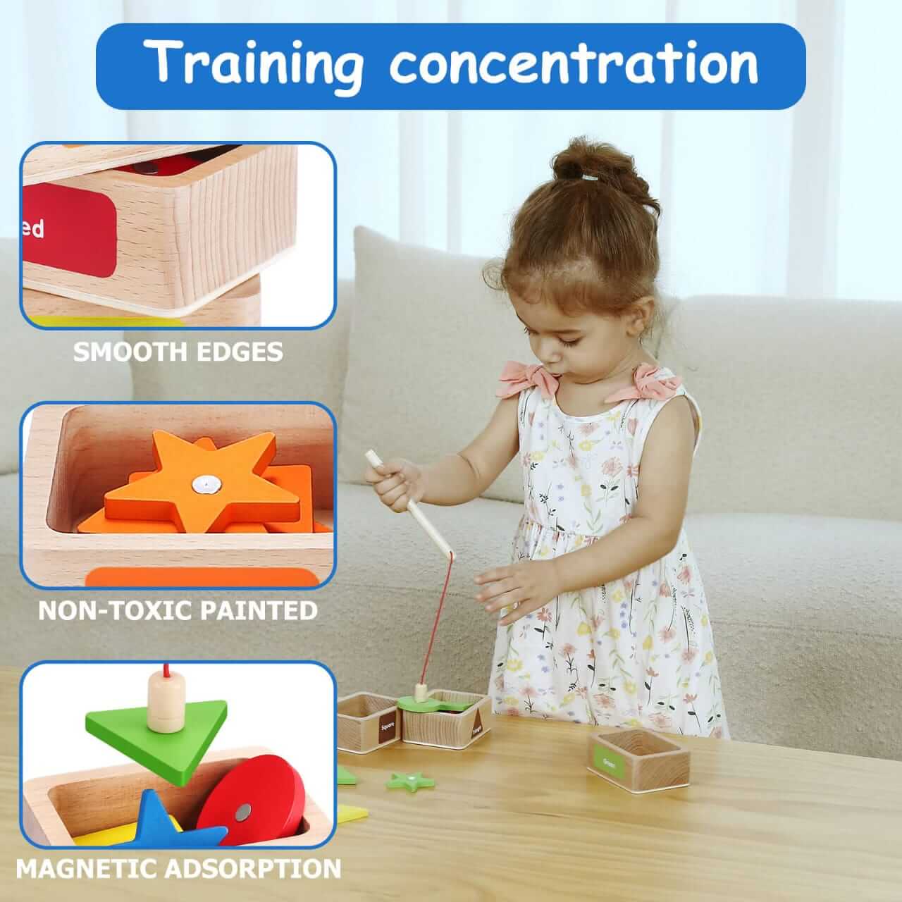 Colorful Coin Sorting Box