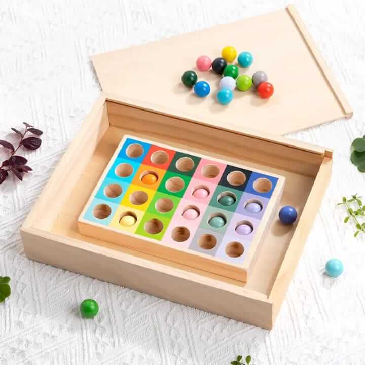 Montessori Color Matching Expert