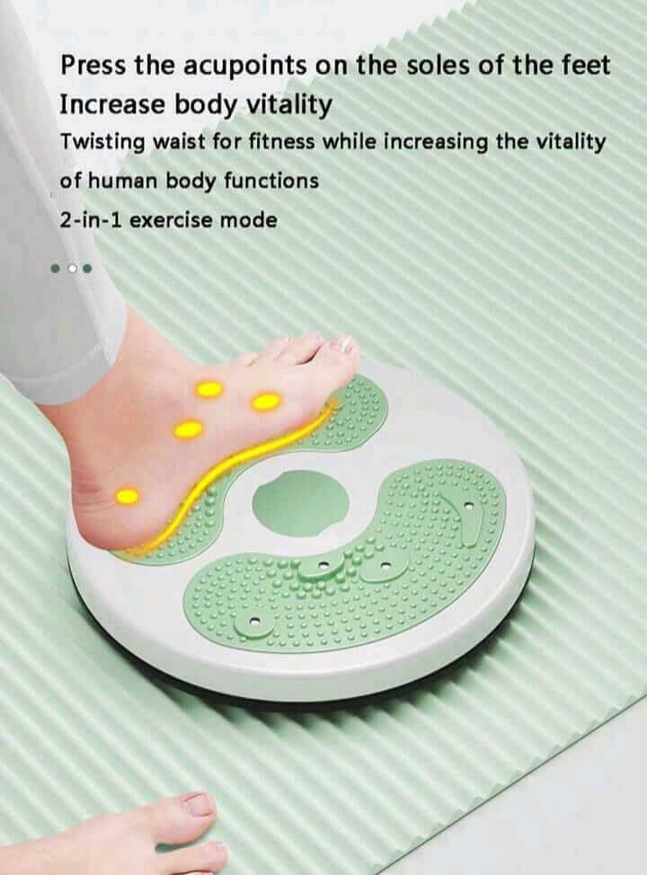 Balance exercising fitness disc
