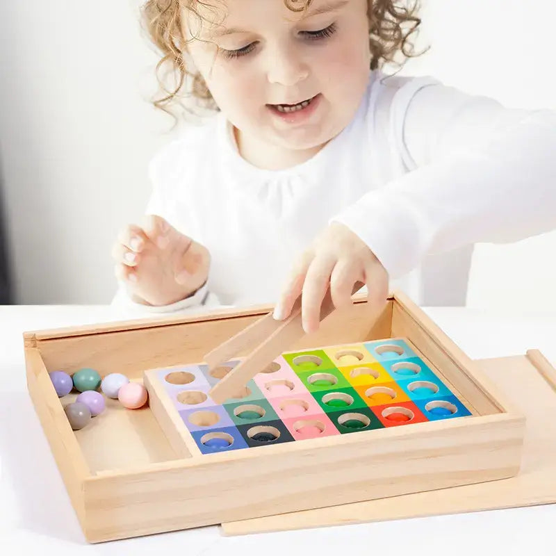 Montessori Color Matching Expert