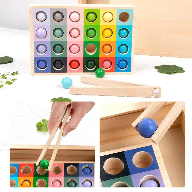 Montessori Color Matching Expert