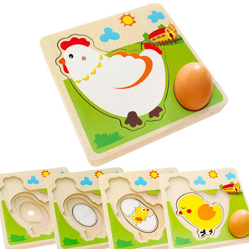 Chicken Growth Puzzle