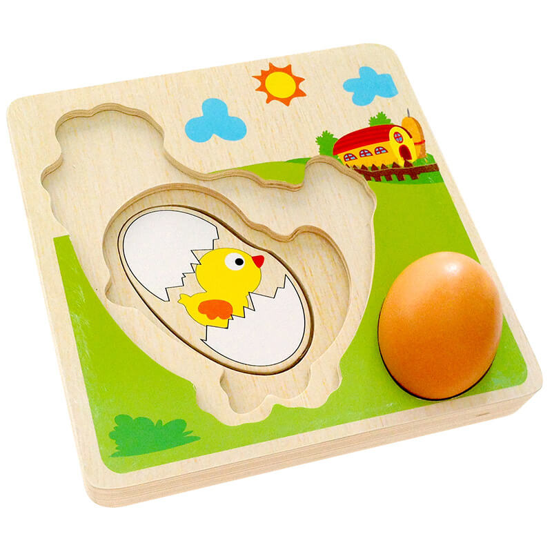 Chicken Growth Puzzle
