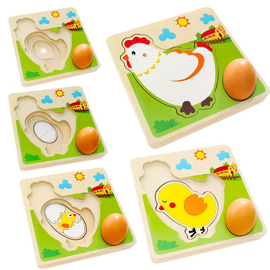 Chicken Growth Puzzle
