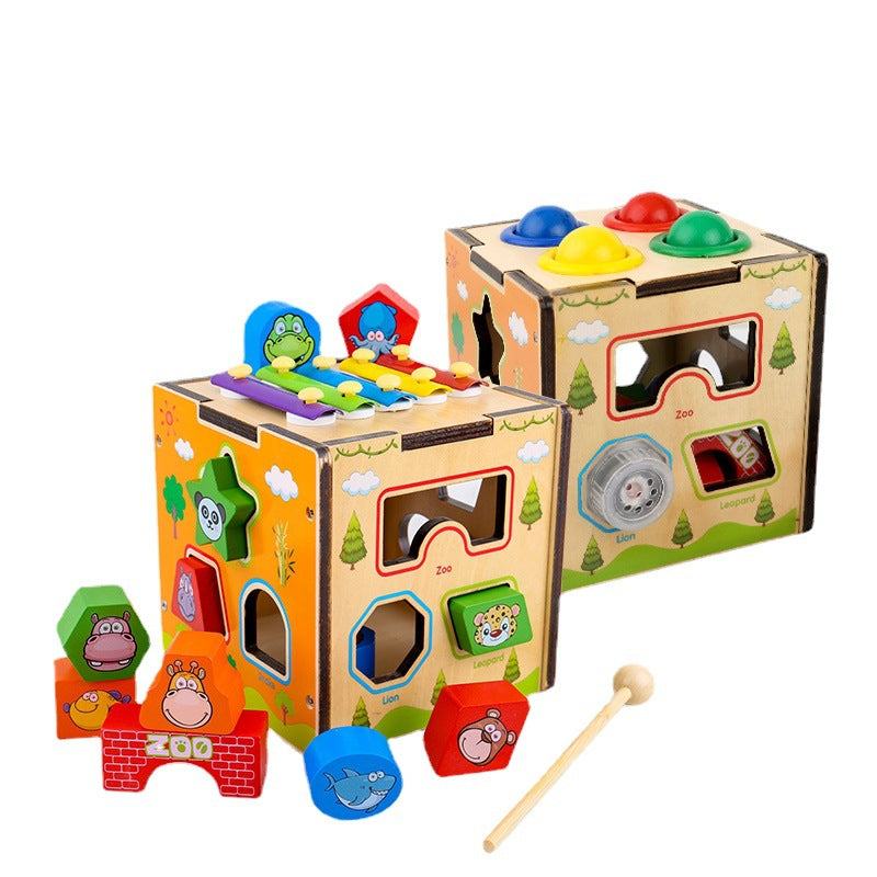 Multifunction Geometry