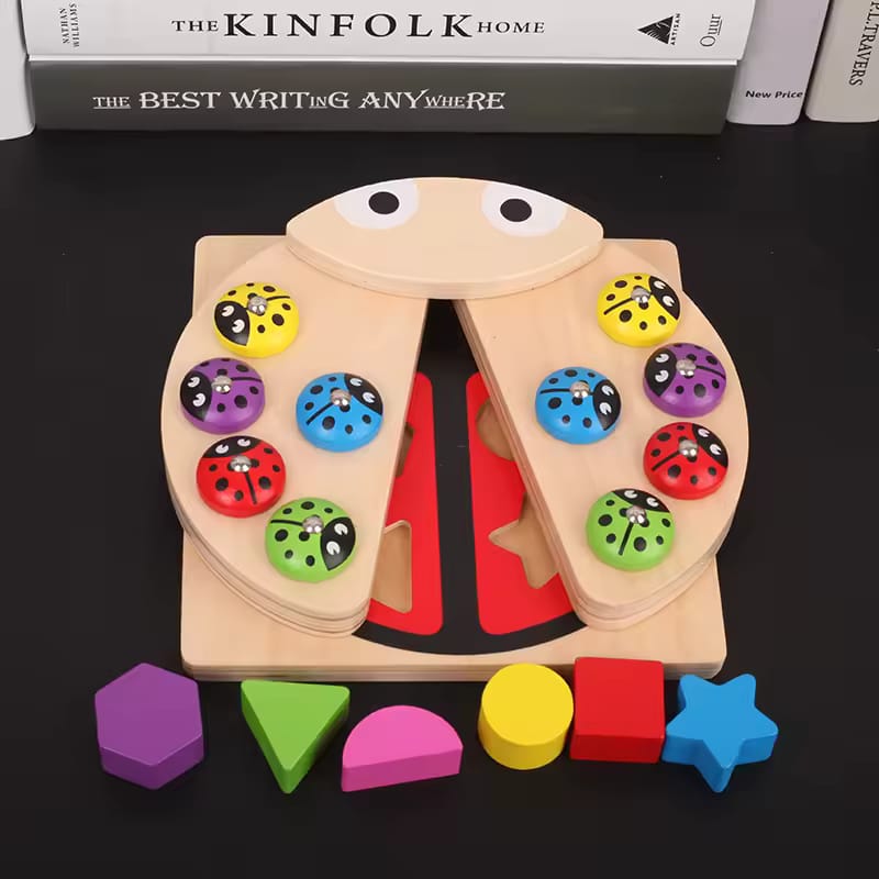 Ladybug Wooden Toy