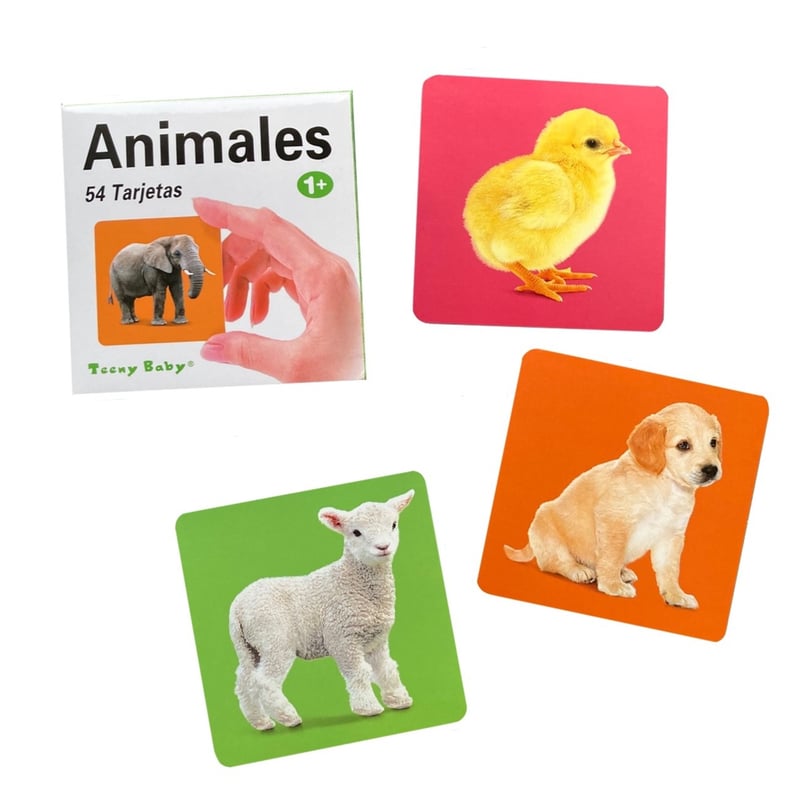 Animal 54 cards