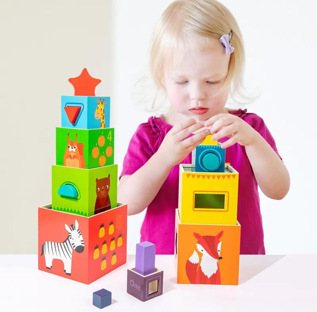 8 Colorful Wooden Stacking Boxes