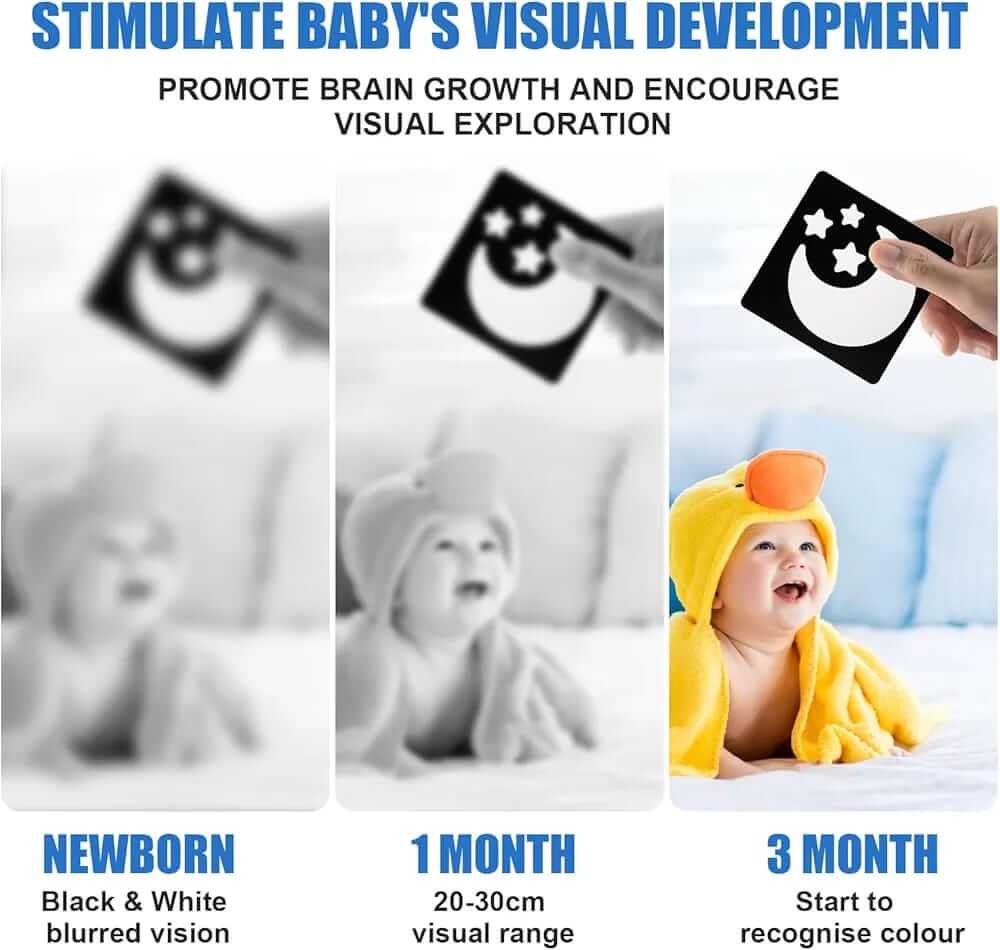 Baby Vision 0-3