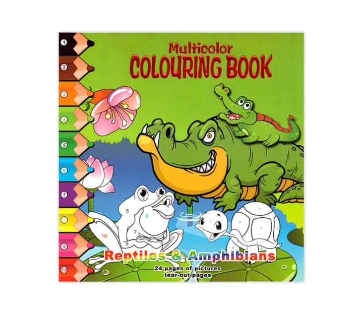 Multicolor Number Coloring Book
