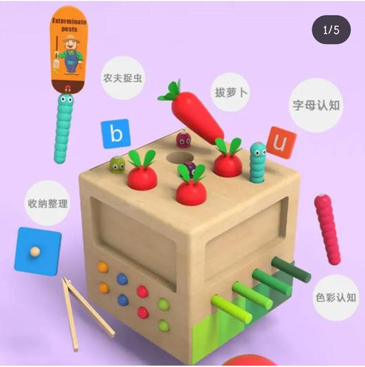 Early Education Toy Box