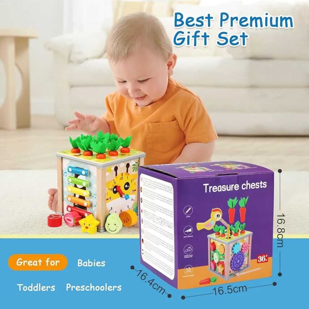 9 in 1 Treasure Chests Wooden Toy