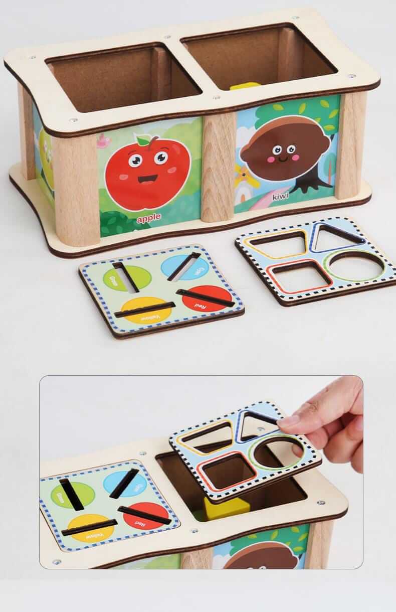 Shape Classification Box