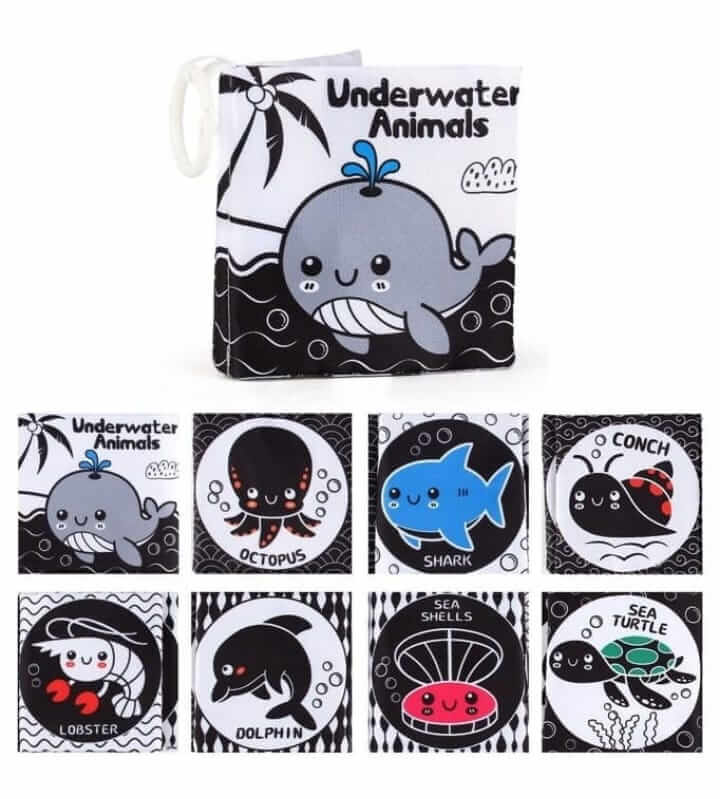 Black & White Baby Books
